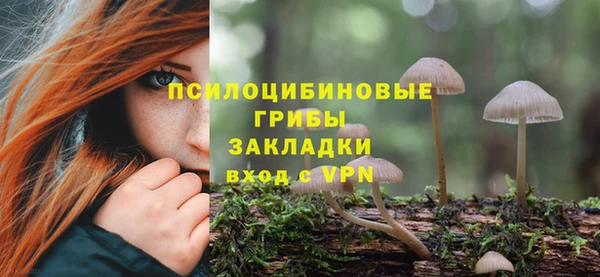 гидропоника Абдулино