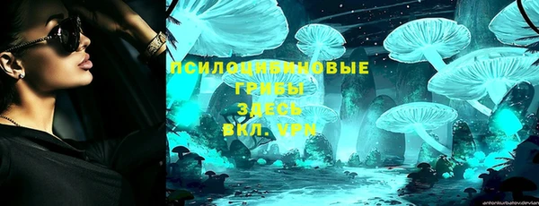 дмт Касимов