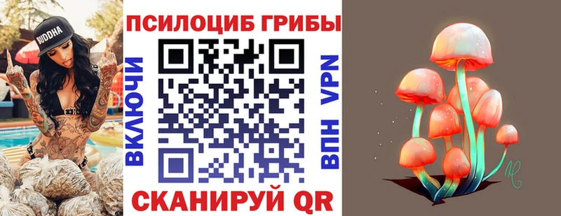 Псилоцибиновые грибы мухоморы  блэк спрут ТОР  Абакан 