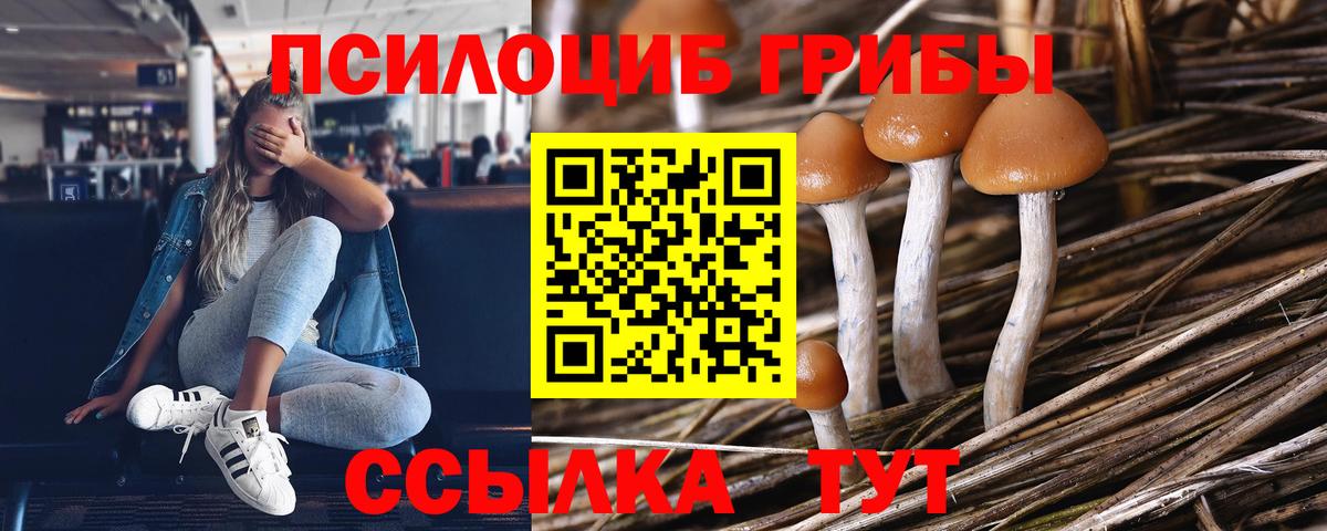 Псилоцибиновые грибы GOLDEN TEACHER  Галлюциногенные грибы Psilocybine cubensis  Абакан  Вход с VPN 